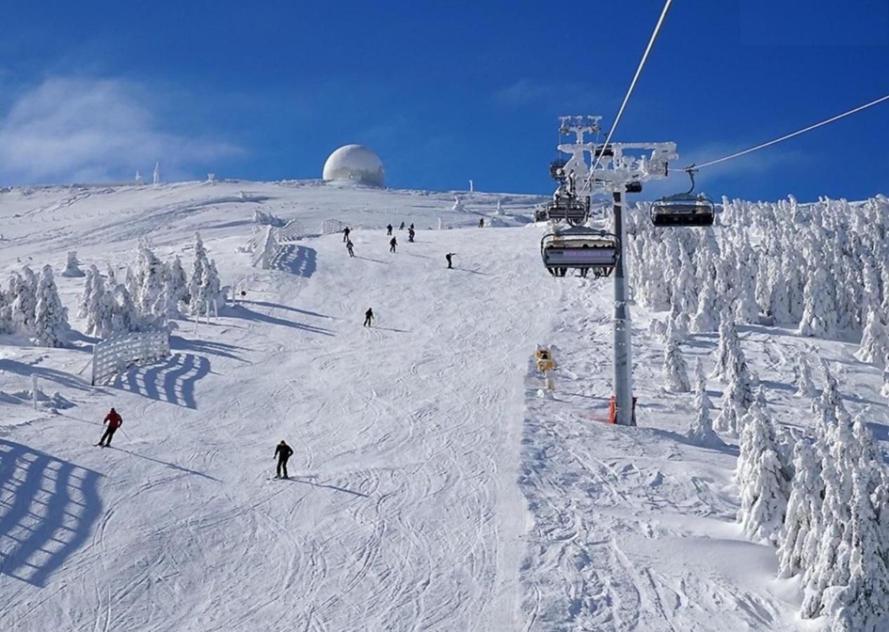 Hotel Olga Dedijer Kopaonik Luaran gambar