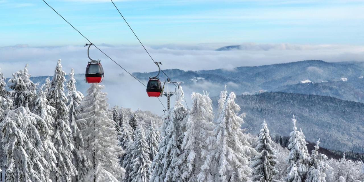 Hotel Olga Dedijer Kopaonik Luaran gambar